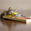 Rodent Control Services: Safe and Effective Removal Methods
