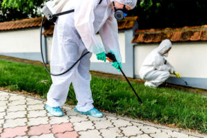 Commercial Pest Control Services