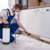 How Professional Termite Treatments Protect Your Home from Damage