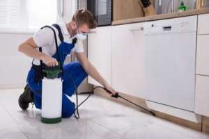 Termite Treatments