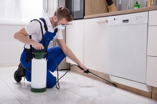 Termite Treatments